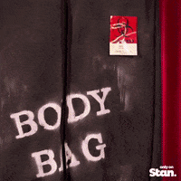 drag race yes GIF by Stan.