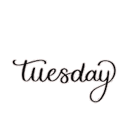 PinkPaperFox tuesday handlettering dienstag brushlettering Sticker