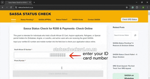 statussassa giphyupload check application grant GIF