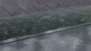 Nice To Meet You Persona 4 GIF