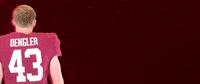 Football Roll Pards GIF by Lafayette Leopards