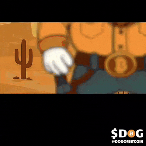Shiba Inu Cowboys GIF by $DOG