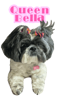 Dog Queen Sticker