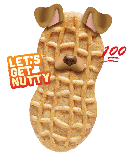 Nutterbutter giphyupload cookie snapchat peanut butter Sticker