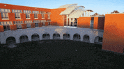 School Fall GIF by St. Louis Community College