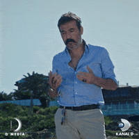 Dizi Amin GIF by WASS Medya