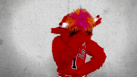 benny the bull wtf GIF by Chicago Bulls