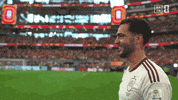 Happy Fifa World Cup GIF by DAZN