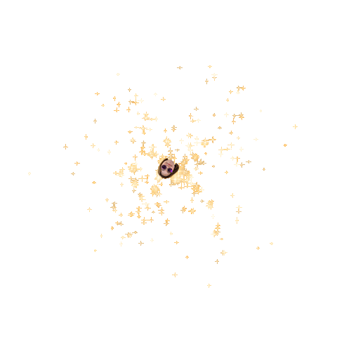Tagenjoyzoe Sticker by Instagram Tag In Virtual GIF Booth