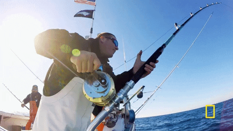 wicked tuna GIF by National Geographic Channel