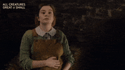 Raiseeyebrows No GIF by All Creatures Great And Small