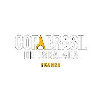 Copa Brasil Sticker by ABEE