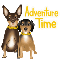 Dog Toy Use Code Sticker by zoopeez
