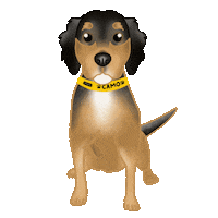 Dog Toy Use Code Sticker by zoopeez