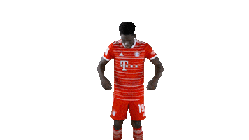 Football Sport Sticker by FC Bayern Munich