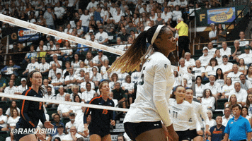 csu rams volleyball GIF by Colorado State Rams