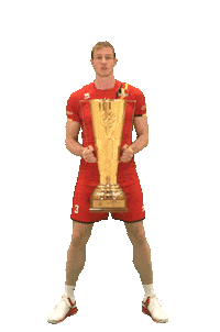 Champions Win Sticker by TopVolleyBelgium
