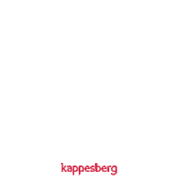 kappesberg_oficial kappesberg moveis kappesberg Sticker