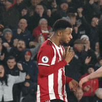 Get In Sheffield United GIF by Sheffield United Football Club