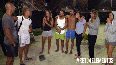 happy tv show GIF by Tiny Horse LLC