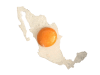 mexico comida Sticker