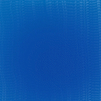 rosemodesto mato grosso do sul pantanal rose modesto eduardo riedel GIF