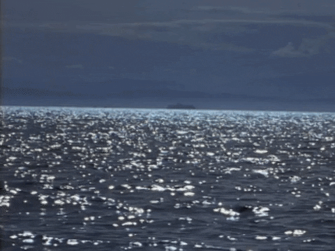 Right Here GIF by SWV