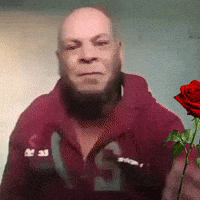 ahmedysouf amrhsnalsadyhsn amerelsaadi ahmedysouf GIF