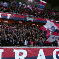 parc des princes football GIF by Paris Saint-Germain