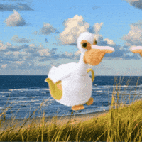 Sea Bird Fishing GIF by TeaCosyFolk