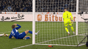 Football No GIF by FC Schalke 04