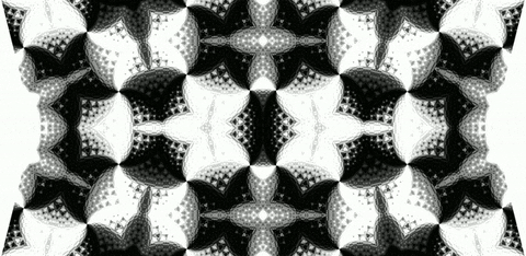 anniemuse giphyupload black and white abstract mask GIF