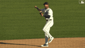Celebrate Detroit Tigers GIF by MLB