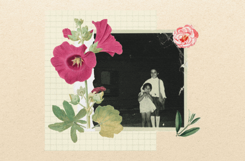 MineMora giphyupload GIF