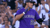 major league baseball sport GIF by MLB