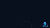 Technology Crypto GIF by Nexus