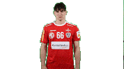 Handball_Austria elias aut ohb handballaustria Sticker