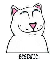 RIPNDIP_CAT happy cat confused grunge Sticker