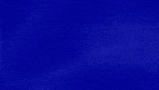 Auction GIF by Jeopardy!