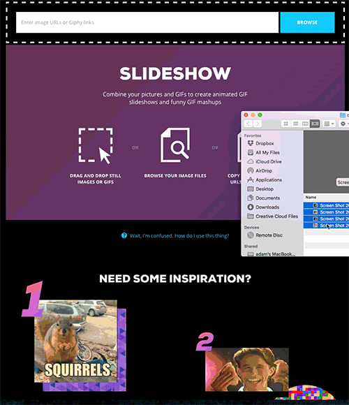 GIF by How To Giphy