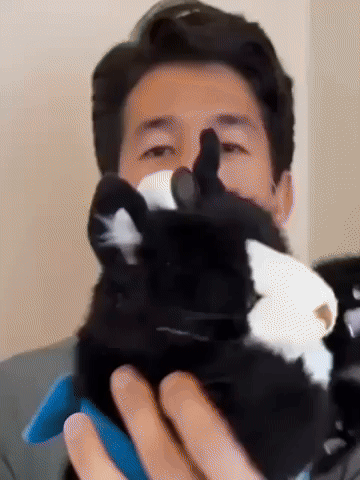 GIPHYGIP1 giphyupload GIF