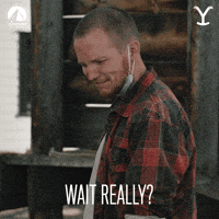 Paramount Network Seriously GIF by Yellowstone
