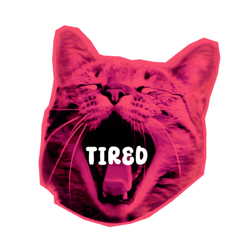 Cat Love Sticker by Seorang Zaki