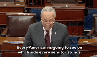 Supreme Court Democrats GIF by GIPHY News