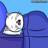 caritadearroz cat tired sleep gato GIF