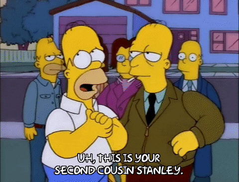 homer simpson GIF