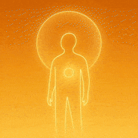 World Evolve GIF by WeQuorum