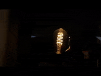 Footage Oaf GIF by jorgemariozuleta