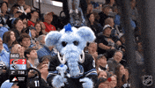 Raise Up Lion King GIF by NHL