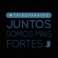 Spoiler GIF by Renata Paraiso